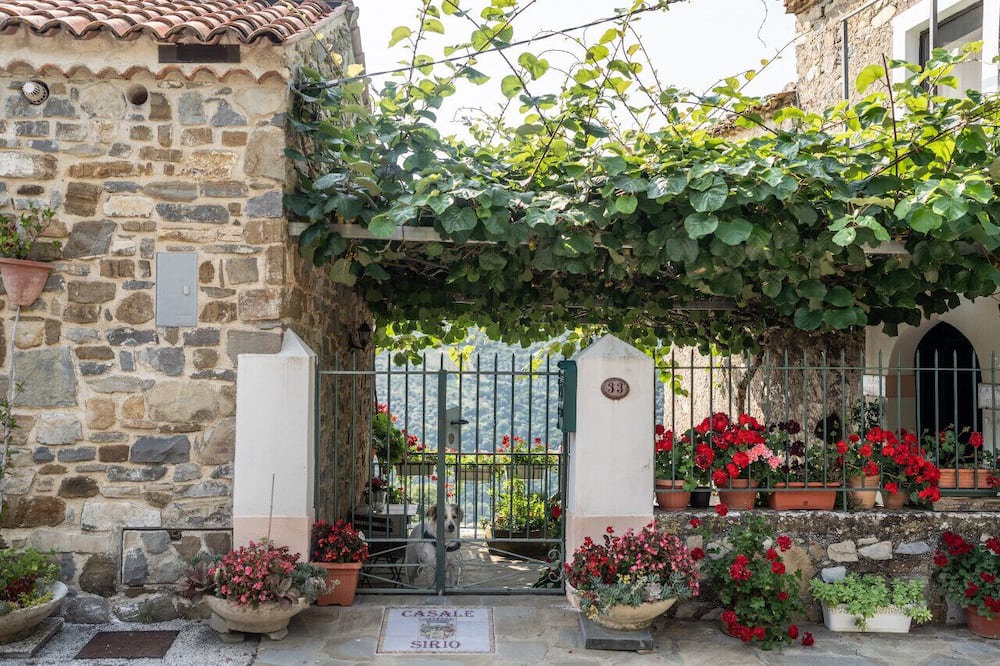 Photo of Others in San Mauro Cilento