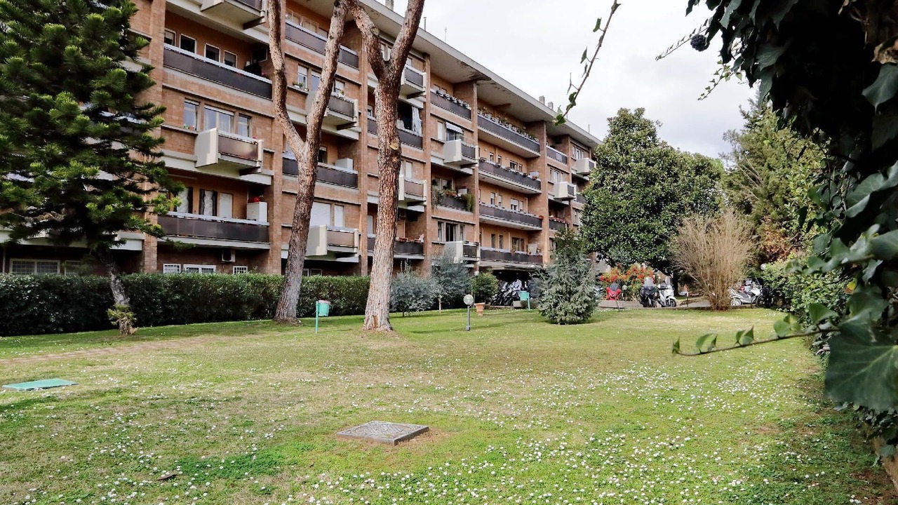 Photo of Outdoor in Aurelio