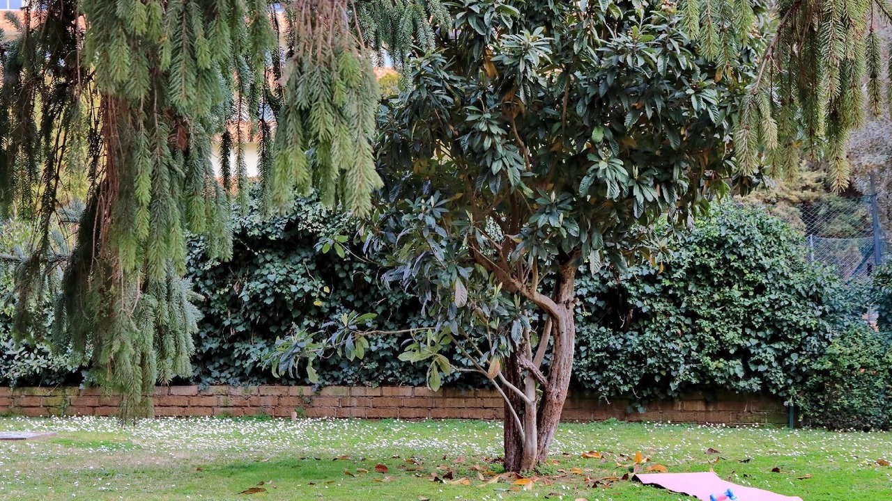 Photo of Outdoor in Aurelio