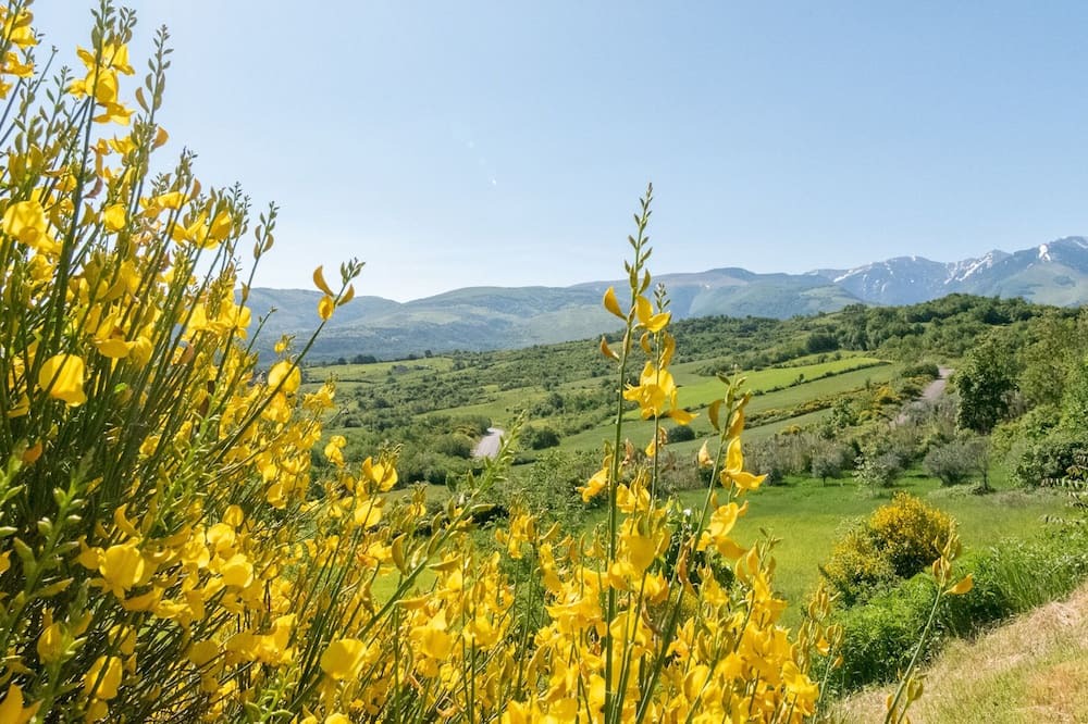Photo of Outdoor in Abbateggio