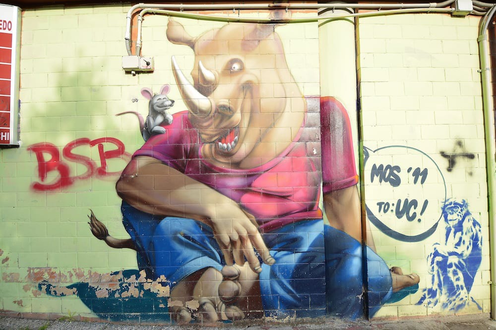 Photo of Others in Mestre