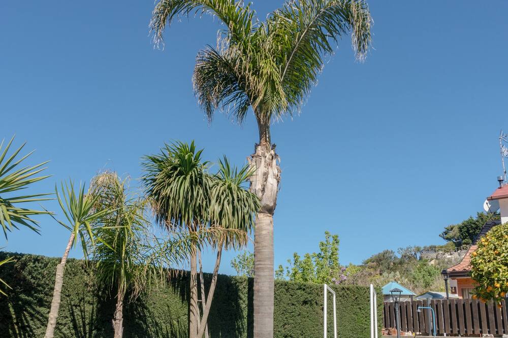 Photo of Outdoor in Termini