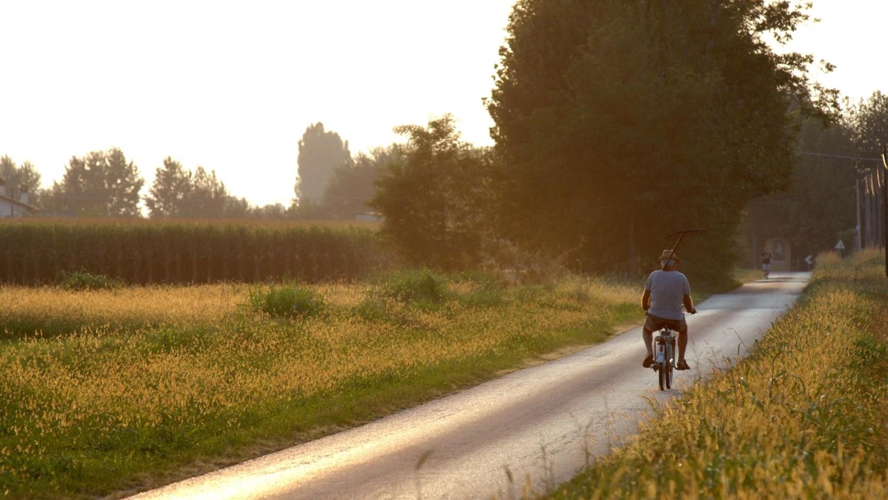 Photo of Outdoor in Sandrigo