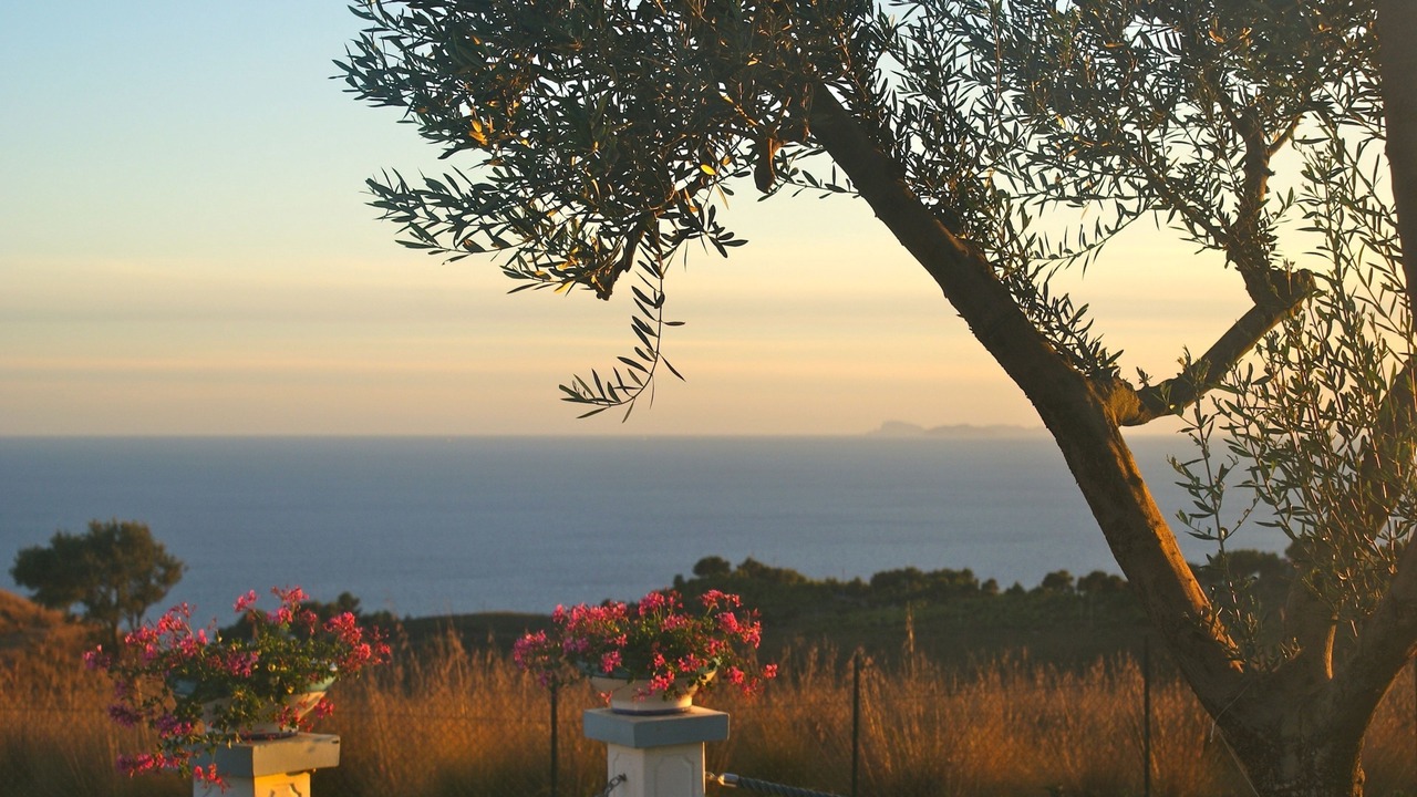 Photo of Outdoor in Itri