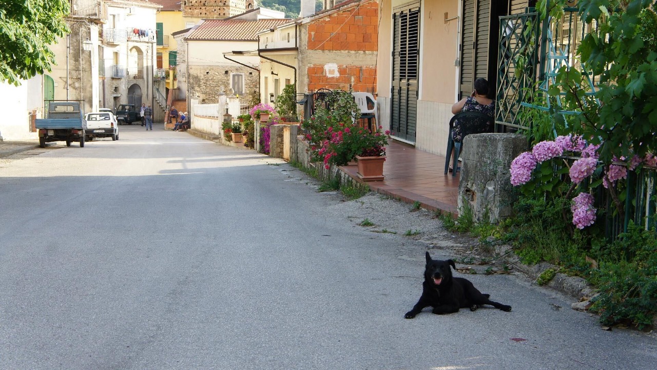 Photo of Outdoor in Ascea