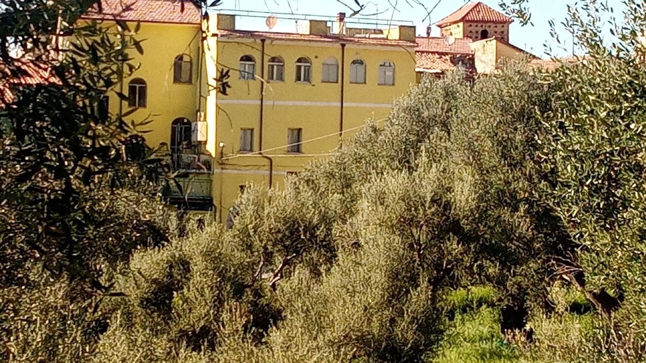 Photo of Outdoor in Ascea