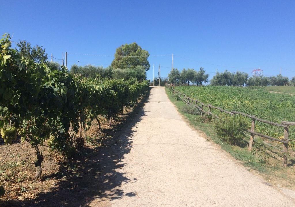 Photo of Outdoor in Zona XLV Castel di Guido