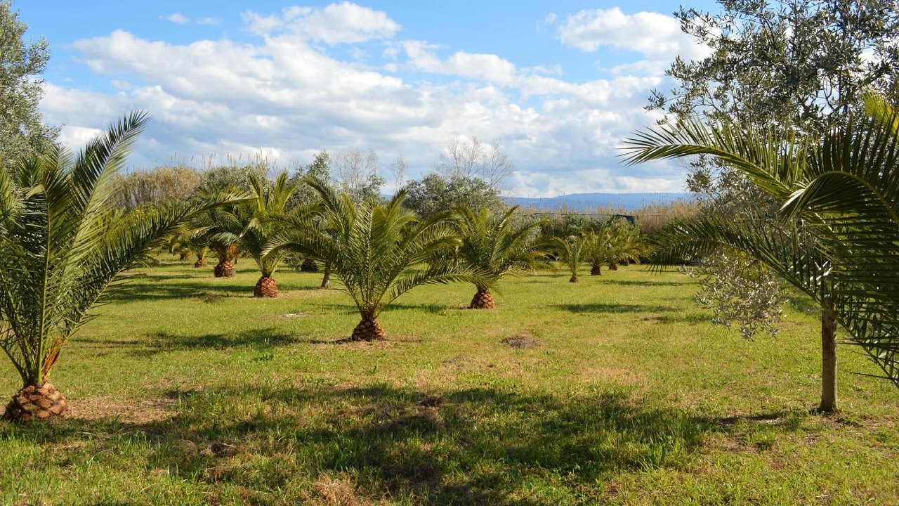 Photo of Others in Foce Varano