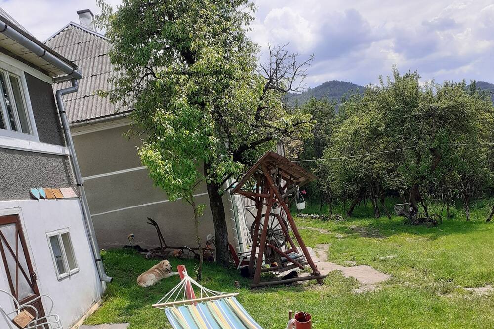 Photo of Outdoor in Tarina