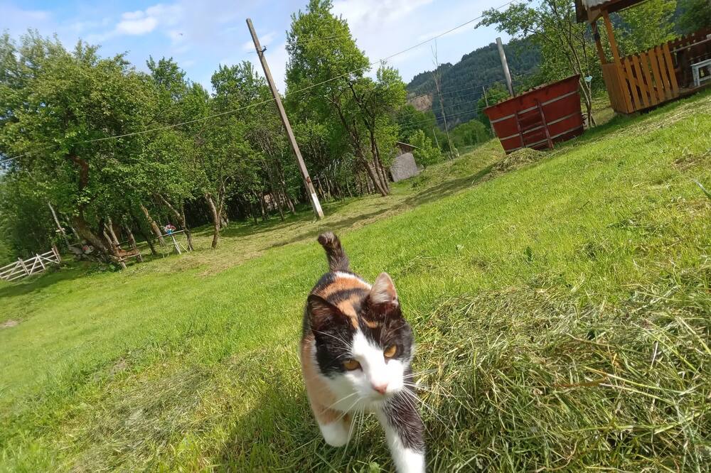 Photo of Outdoor in Tarina