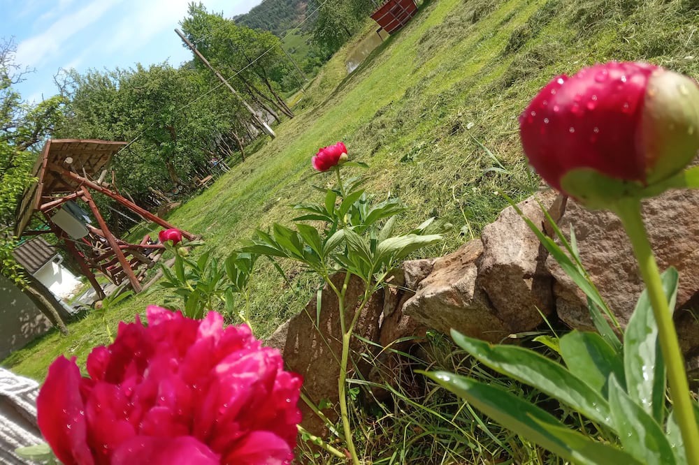 Photo of Outdoor in Tarina