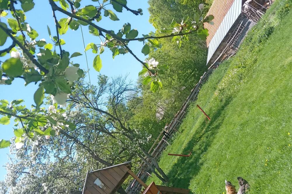 Photo of Outdoor in Tarina