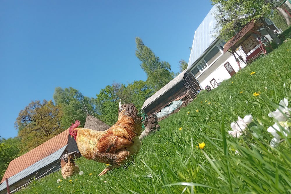 Photo of Outdoor in Tarina