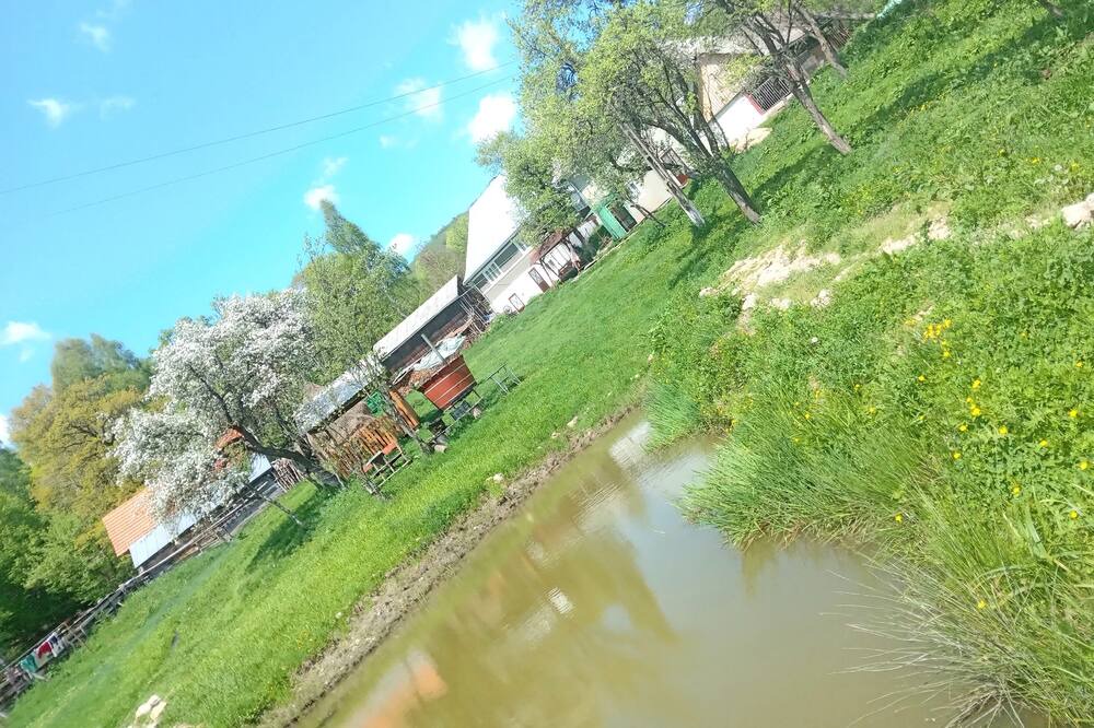 Photo of Outdoor in Tarina