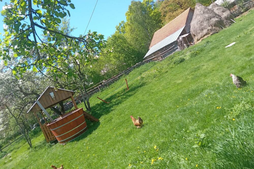 Photo of Outdoor in Tarina