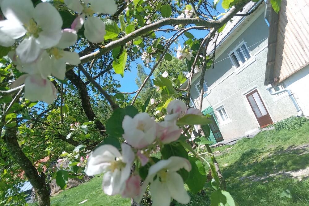 Photo of Outdoor in Tarina