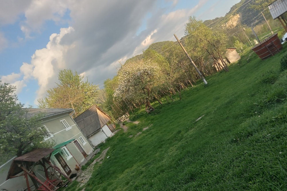 Photo of Outdoor in Tarina