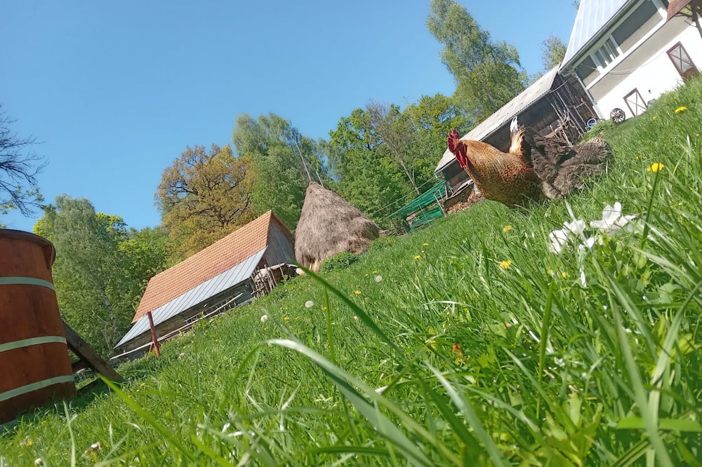Photo of Outdoor in Tarina