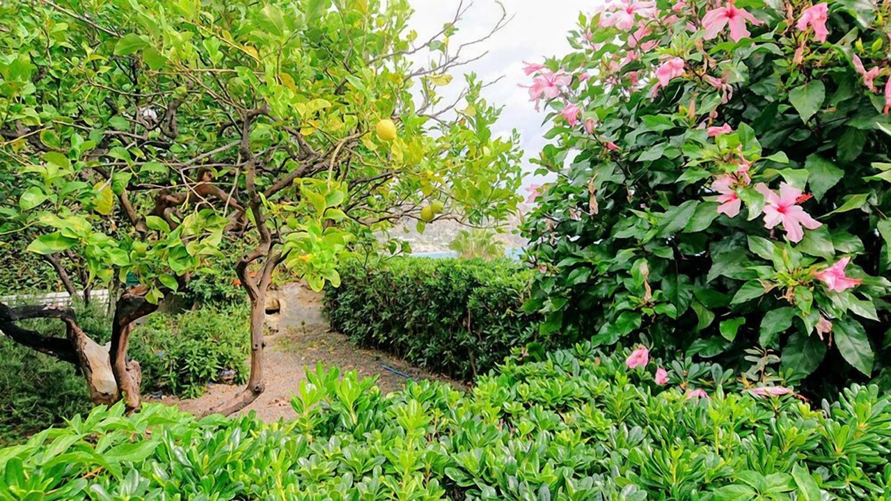 Photo of Outdoor in Sant'Angelo