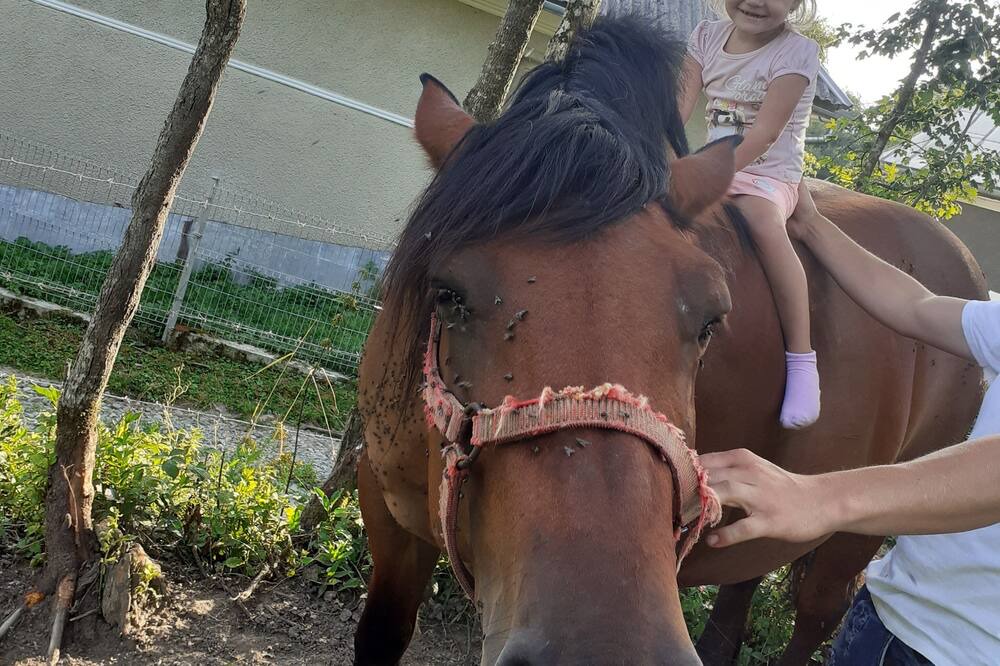 Photo of Others in Rosia Montana