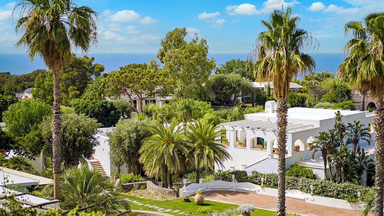 Photo of Outdoor in Forio