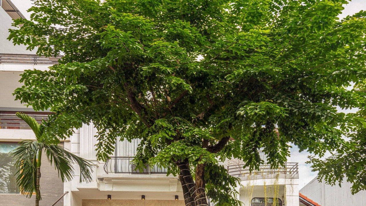 Photo of Outdoor in Son Tra