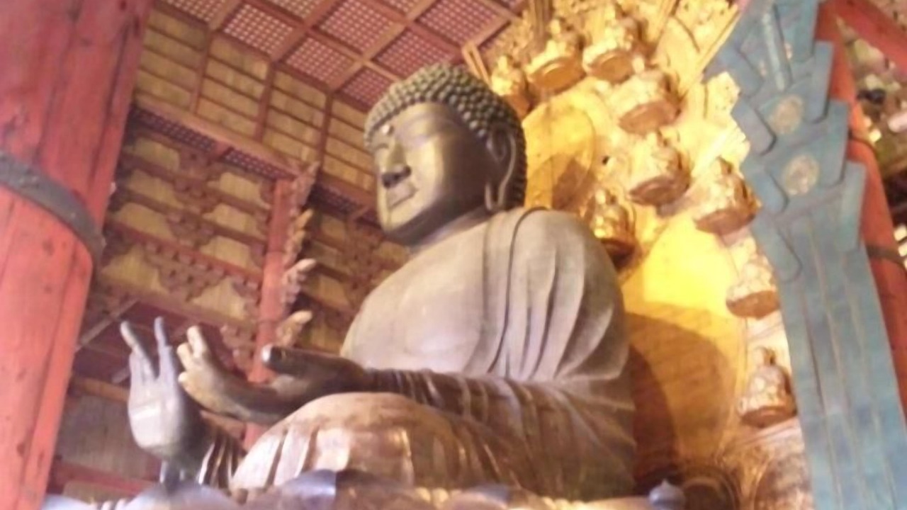 Photo of Others in Nara