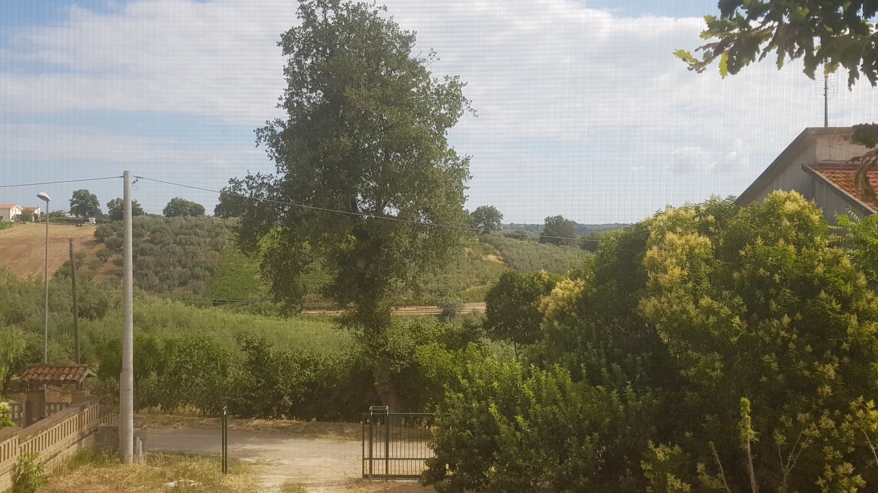 Photo of Outdoor in Torino di Sangro