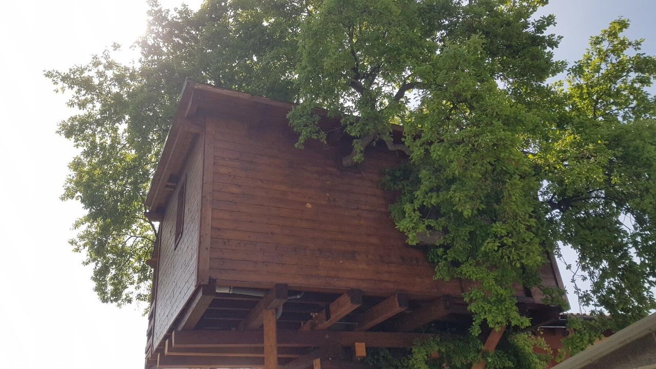 Photo of Outdoor in Torino di Sangro
