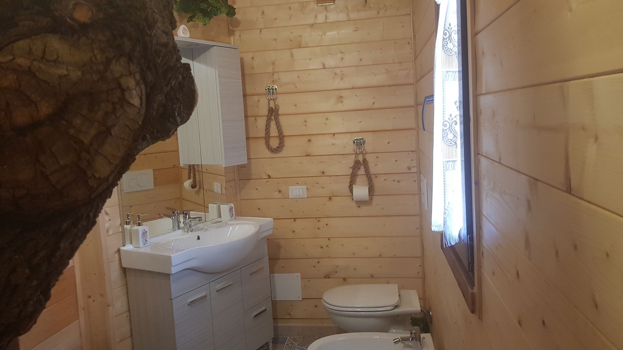 Photo of Bathroom in Torino di Sangro