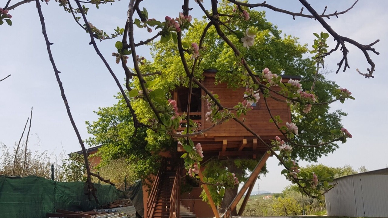 Photo of Outdoor in Torino di Sangro