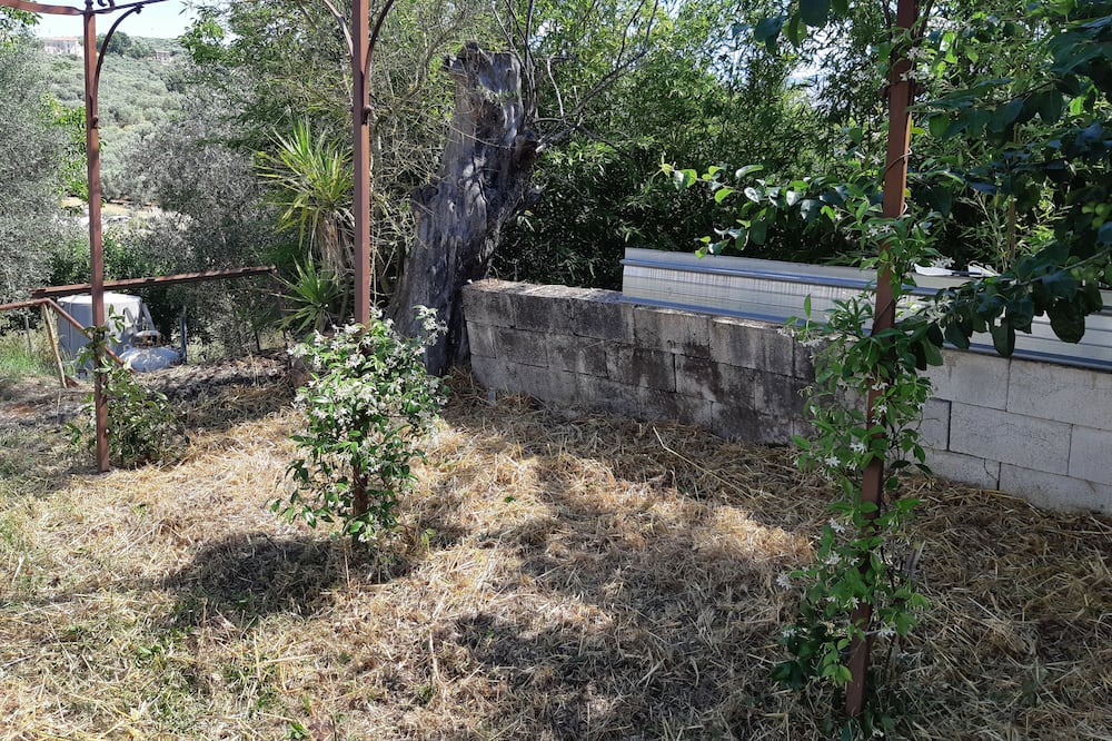 Photo of Outdoor in Roccadaspide