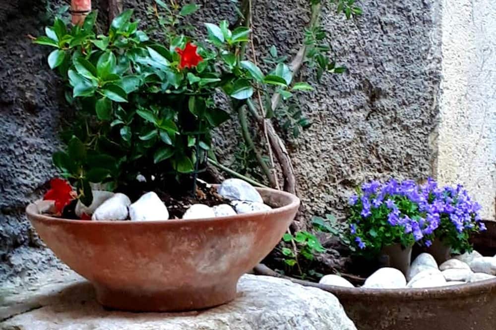 Photo of Outdoor in Arce