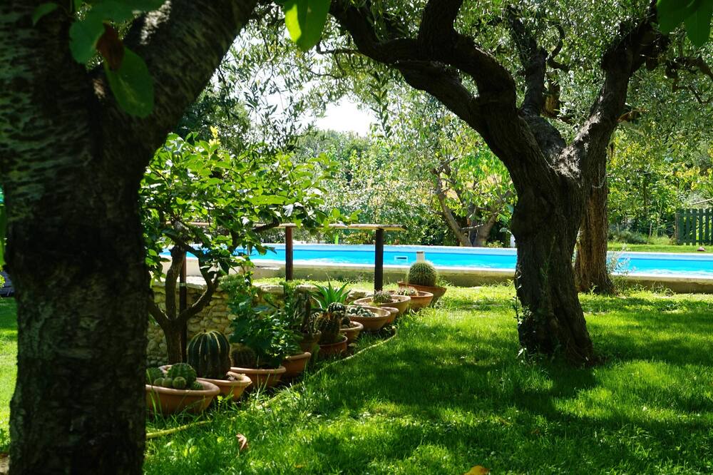 Photo of Outdoor in Treglio