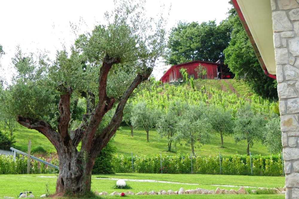 Photo of Outdoor in Montemiletto
