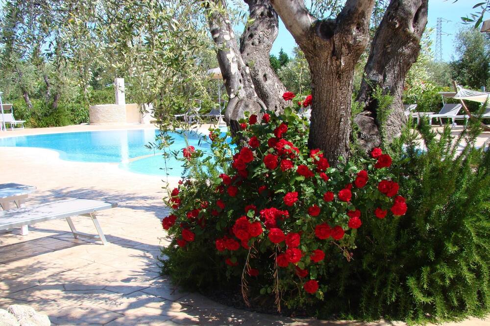 Photo of Outdoor in Chiesiola