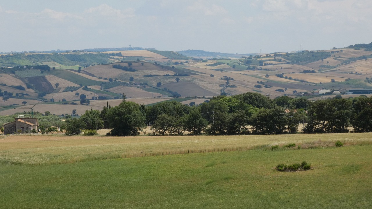 Photo of Others in Petacciato