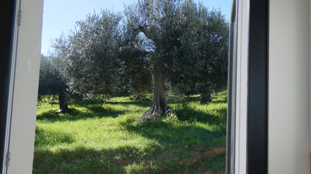 Photo of Others in Petacciato