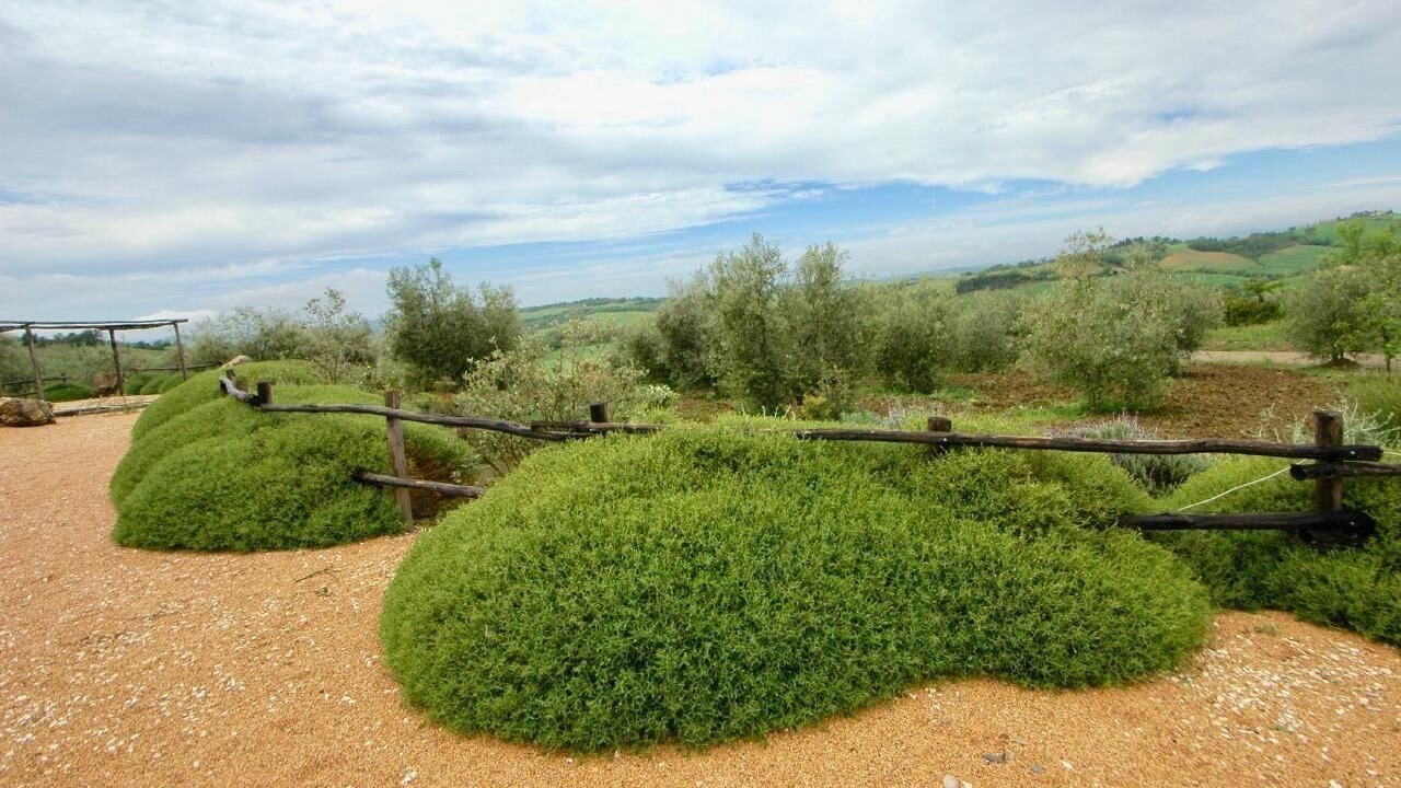 Photo of Outdoor in Manciano