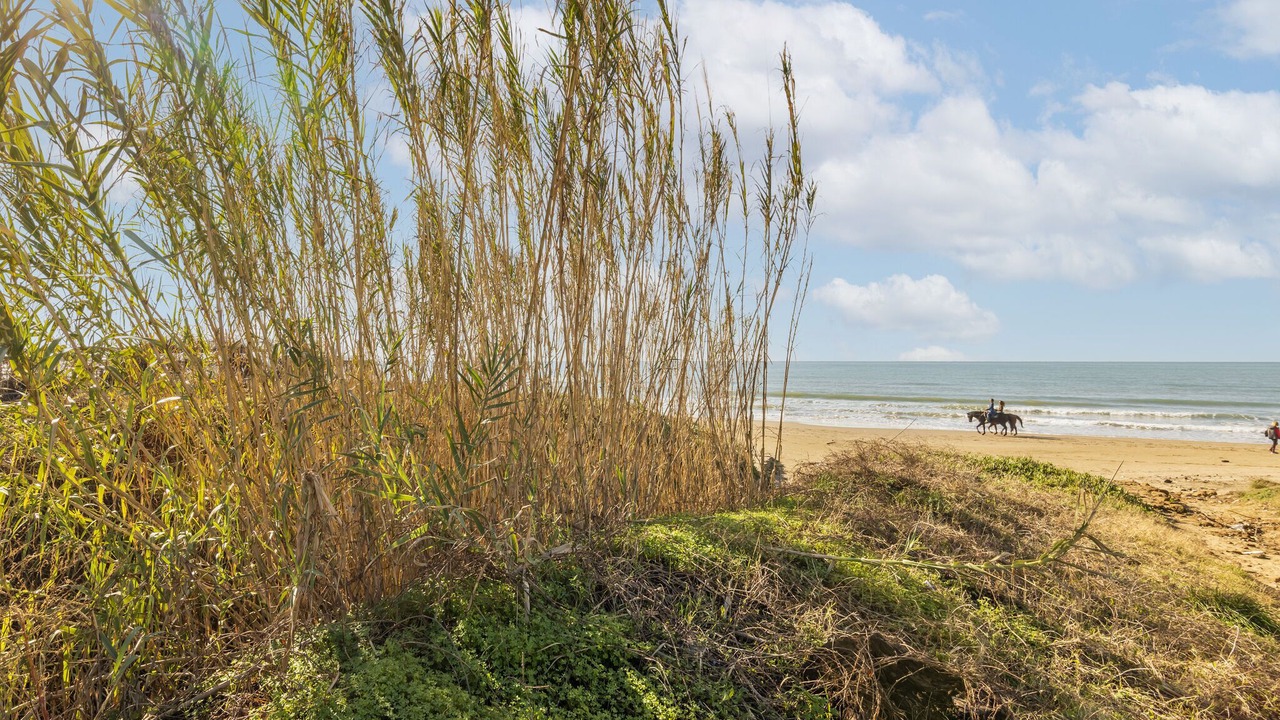 Photo of Others in Lido dei Pini