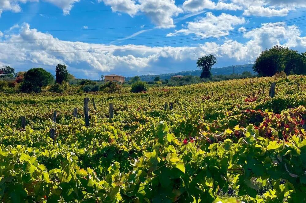 Photo of Outdoor in Paternopoli