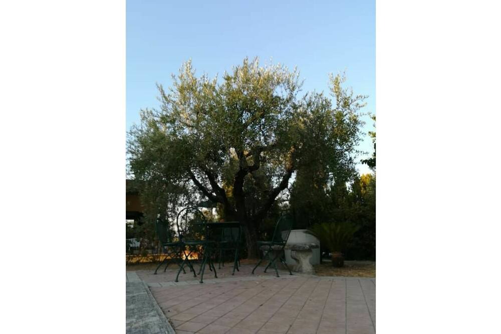 Photo of Others in Santa Lucia