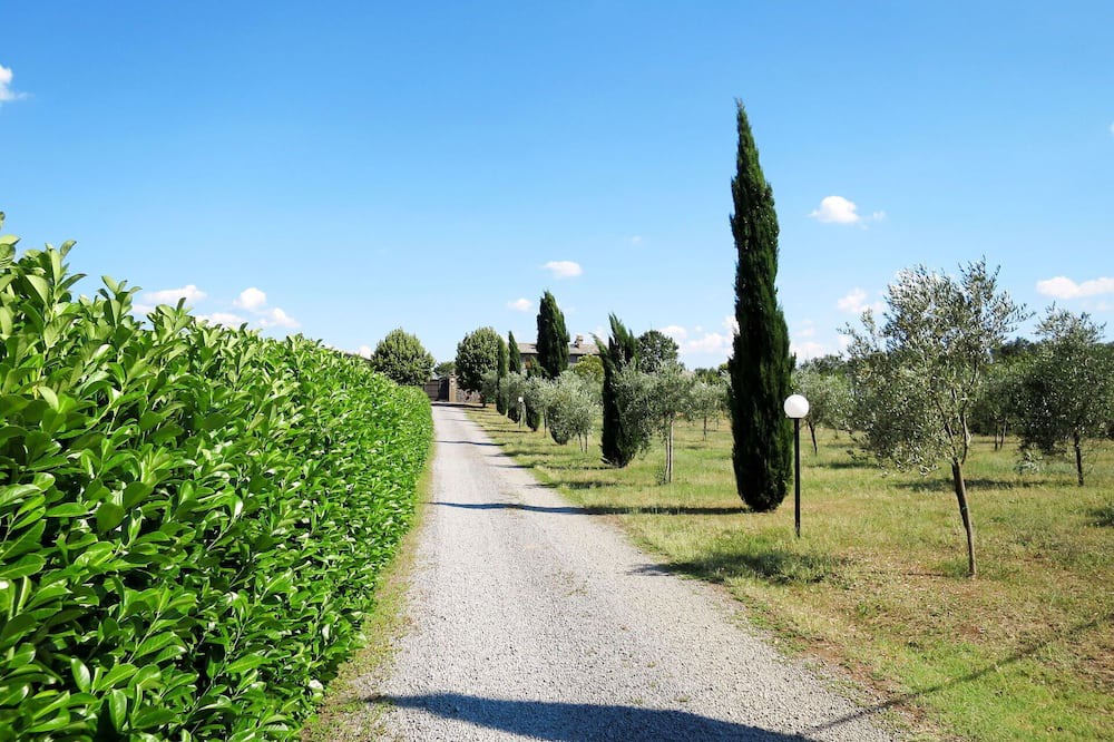 Photo of Others in Orvieto