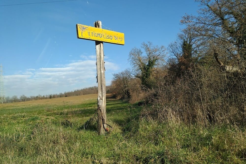 Photo of Others in Attigliano