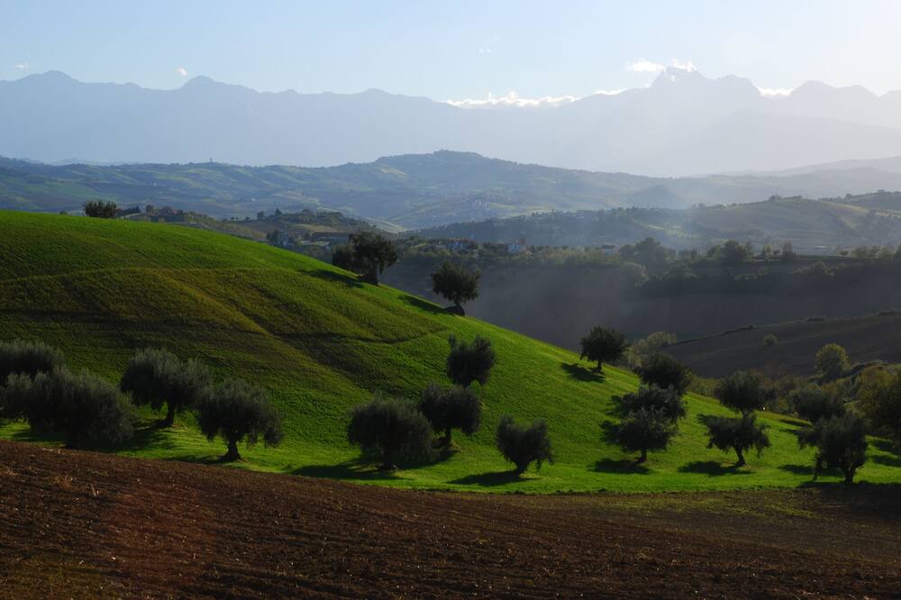 Photo of Others in Notaresco