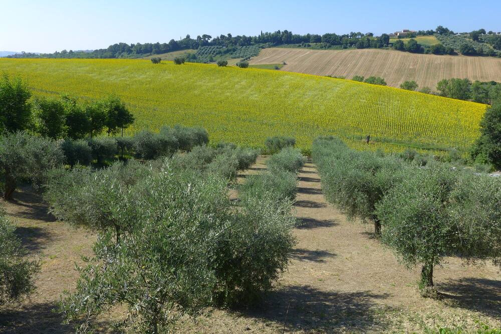 Photo of Outdoor in Notaresco