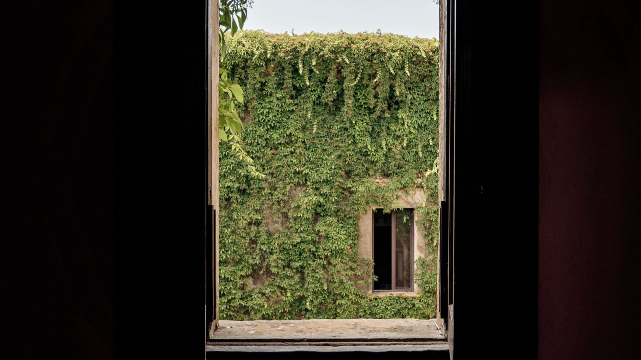 Photo of Outdoor in Celso