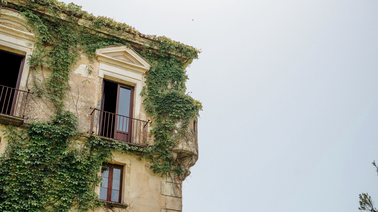 Photo of Outdoor in Celso