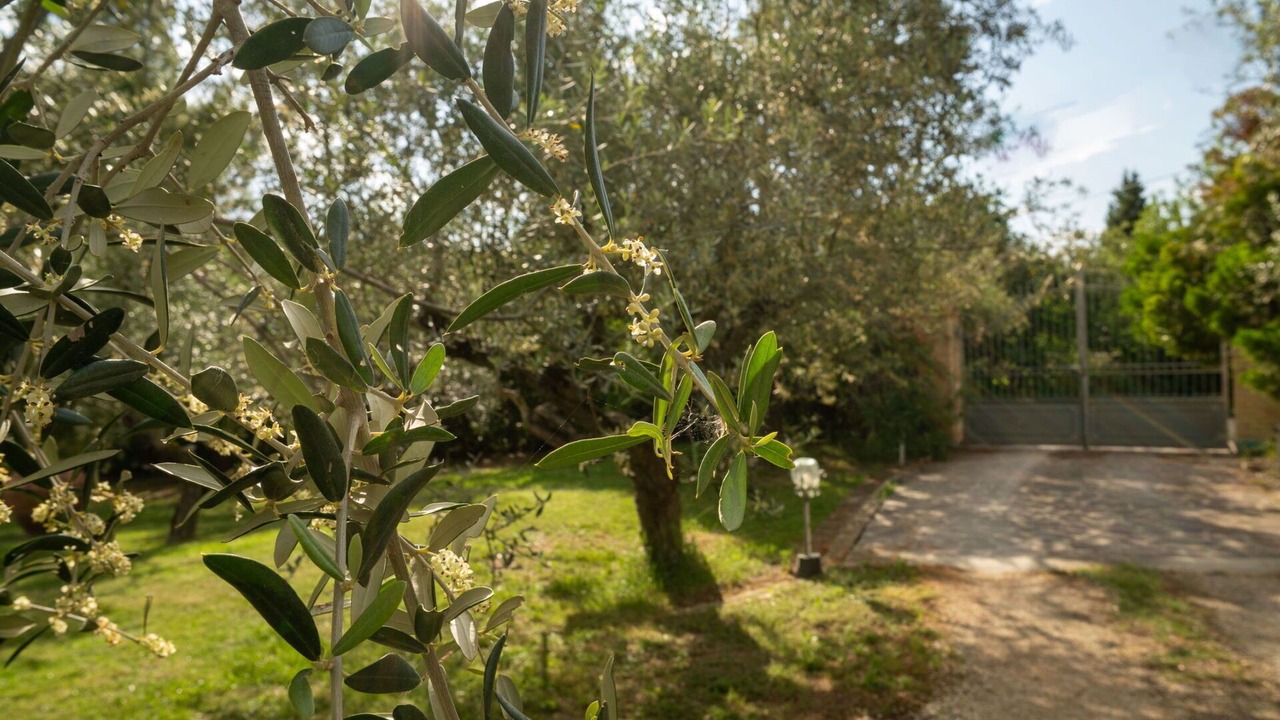 Photo of Outdoor in Collecorvino
