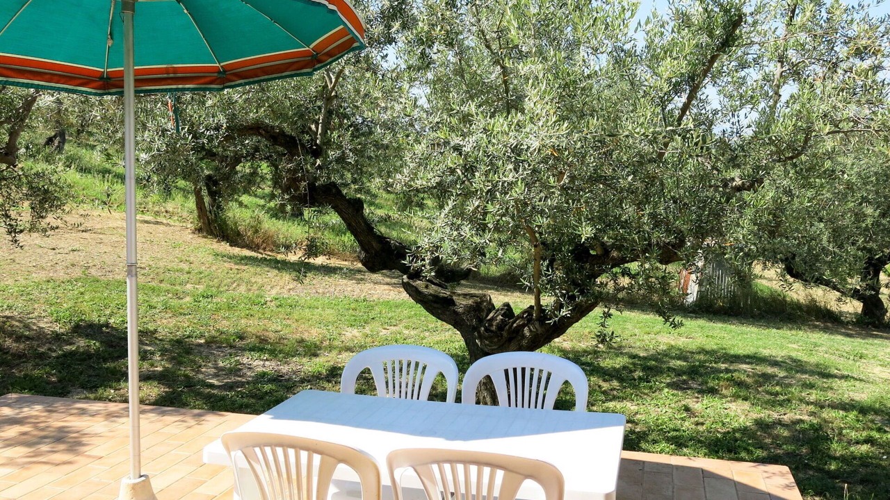 Photo of Outdoor in Collecorvino
